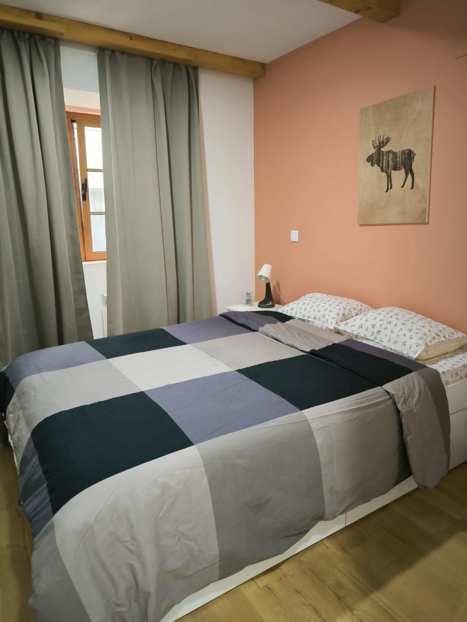 Coimbra Downtown Studio 外观 照片